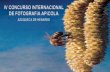 IV Concurso internacional de fotografía apícola, 2004, Catálogo