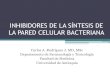 inhibidores de la síntesis de la pared celular bacteriana