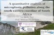 A quantitative analysis of microplastic pollution along the south ...