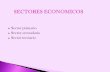 Sectores economicos