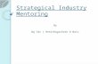 Industry mentoring