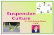 Suspension Culture-  Tissue Culture