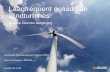 Erik Koppen - Presentatie NSG bijeenkomst 5 februari 2013 - Laagfrequent geluid van windturbines - Nieuwe Deense wetgeving