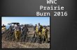 Prairie Burn 2016