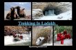 A Glimpse of Ladakh Trekking