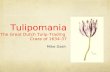 Tulipomania presentation .pps