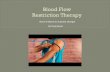 Blood Flow Restriction Therapy.pdfx