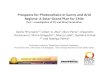 Prospects for Photovoltaics in Sunny and Arid Regions: A Solar ...
