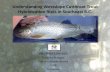 Understanding Westslope Cuthroat Trout Hybridiza9on Risks in ...