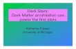 Dark Stars: Dark Matter annihilation can power the first stars