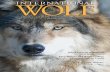 Tribal View of Wisconsin Wolf Hunt PAGE 4 Love Wolves and Hate ...