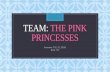 Stock market presentation: Pink Princesses