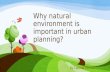 Why natural environment is important in urban planning