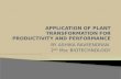 application of plant transformation for productivity and performance