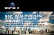 Q&A: Data Modules, Data Sets & Data Servers