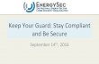 Keep Your Guard: Stay Compliant and Be Secure
