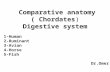 Comparative anatomy digestive system