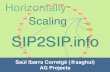 Horizontally scaling SIP2SIP.info