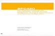 SAP BPC420 10.1