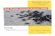 sea turtle report year 2009