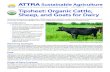 Tipsheet: Organic Cattle, Sheep, and Goats for Dairy