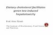 Dietary cholesterol facilitates green tea-induced hepatotoxicity