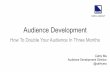 audience development framework