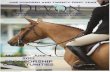 2017 Devon Horse Show Sponsor Opportunities