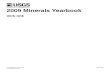 2009 Minerals Yearbook