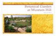 The Botanical Garden at Museum Hill PowerPoint