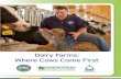 Dairy Farms: Where Cows Come First