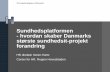 Sundhedsplatformen - hvordan skaber Danmarks største sundhedsit ...
