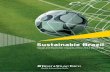 Sustainable Brazil: Social & Economic Impacts of the 2014 World Cup