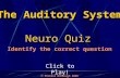 The Auditory System: Quiz Game