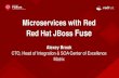 Microservices with Red Red Hat JBoss Fuse