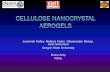 Stability of cellulose nanocrystal dispersions and aerogels