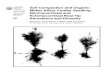 Ectomycorrhizal Root Tip Abundance and Diversity