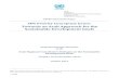 SDG Priority Conceptual Issues: Towards an Arab Approach for the ...