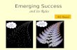 Emerging success