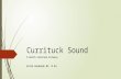 Currituck sound (1)