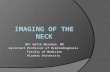 Imaging of the neck part i