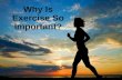 Why is Exercise Important