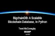 BigchainDB: A Scalable Blockchain Database, In Python