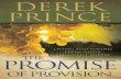 the-promise-of-provision  derek prince