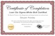 Lean Six Sigma White belt Certificate