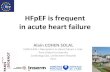 H fp ef is frequent in acute heart failure.