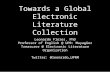 Towards a Global Electronic Literature Collection