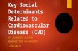 CVD Social Determinants
