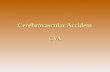 Cerebrovascular Accident CVA (Stroke), Angin Ahmar (malay)
