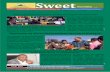 Ethiopian Sugar Corporation Newsletter (Sweet ) - Vol. 5 No. 2  December , 2016